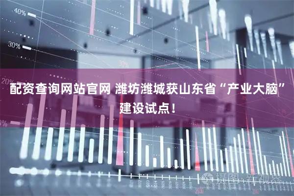 配资查询网站官网 潍坊潍城获山东省“产业大脑”建设试点！